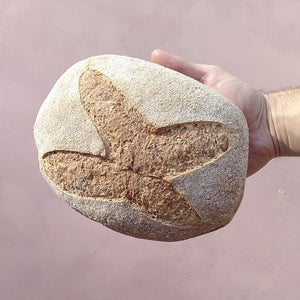 ZATERDAG brood